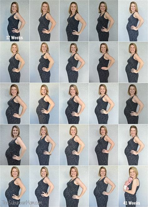 the best tips for pregnancy week by week pictures the suburban mom