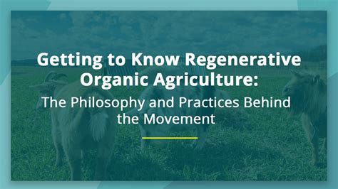 What Is Regenerative Organic Agriculture The Complete Guide