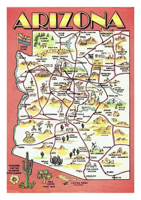 Detailed Travel Illustrated Map Of Arizona State Poster 20 X 30 20 Inch