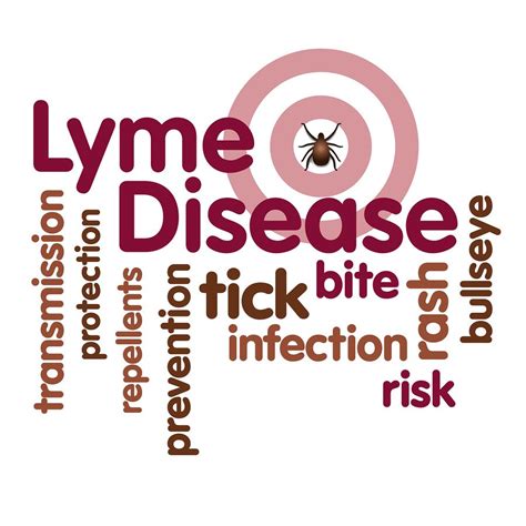 Lyme Disease Prevention Tips Ways To Naturally Treat With Images