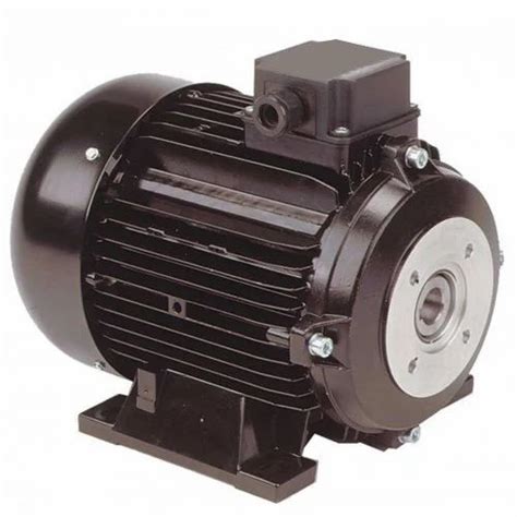 Empdrives Three Phase Hollow Shaft Motors At Rs 6500piece In