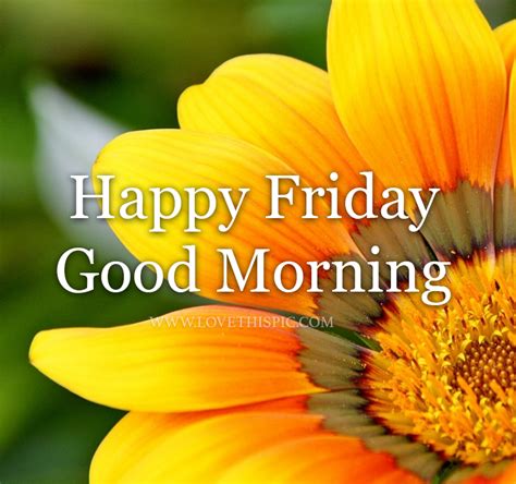 Natural Yellow Flower Happy Friday Morning Quote Pictures Photos