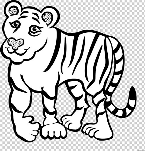 Tigre Siberiano Tigre De Bengala Libro Para Colorear Imagen Png Porn
