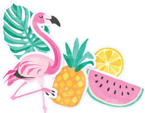 Download High Quality Flamingo Clipart Summer Transparent