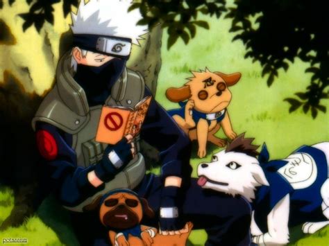 Kakashi And His Dogs Naruto Photo 16178000 Fanpop