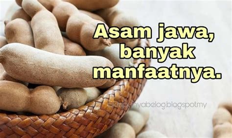 Air Asam Jawa Untuk Sakit Tekak  Cerita Maya Persada Bagaimana Untuk