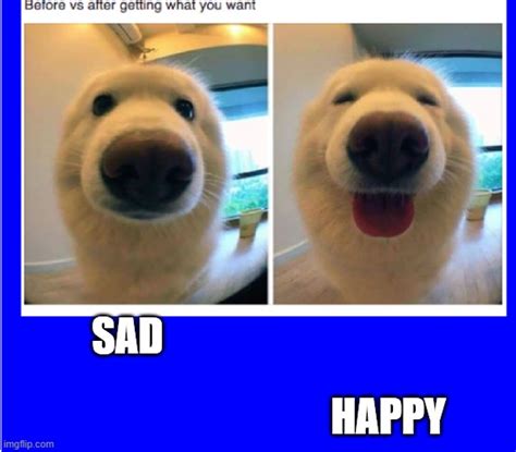Happy Sad Meme Template Portal Tutorials