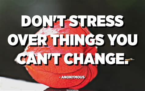 Dont Stress Over Things You Cant Change Anonymous