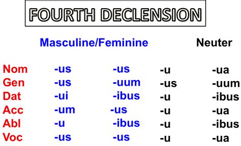 Fourth Declension Latin Nouns Only Lesbian Nude