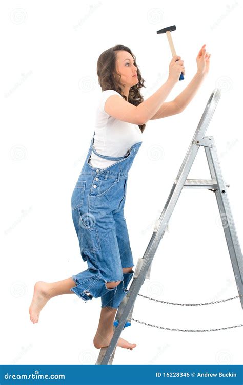 Woman On The Ladder Stock Photo Image Of Silhouette