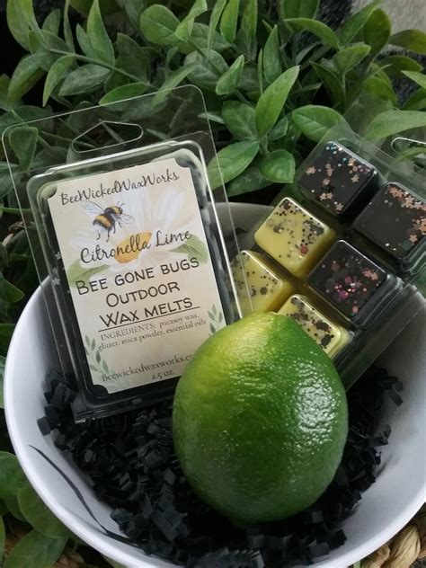 Citronella Wax Melts Strong Scented Outdoor Citronella Lime Etsy