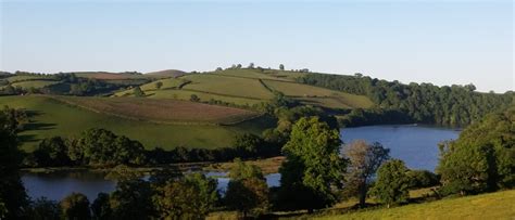 You can take a drive to busselton or visit mammoth cave, which are both 25 minutes' drive away.guest can choose between a cottage or chalet, each feature a stove, microwave and a refrigerator. Holiday Cottages in South Devon