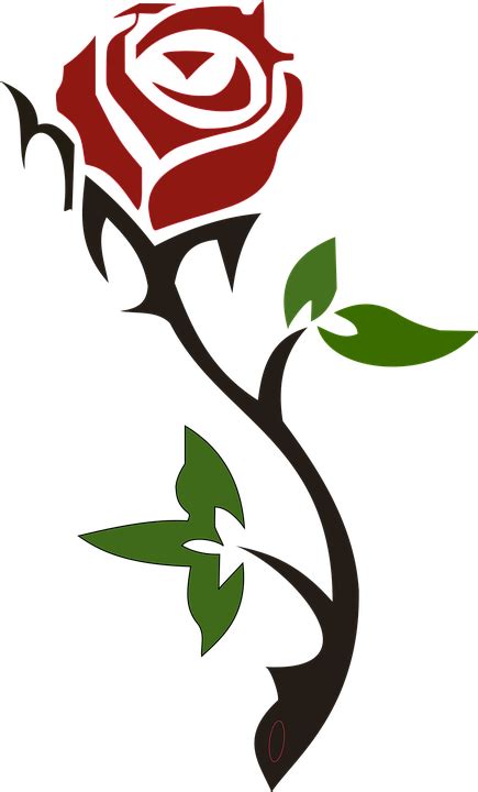 Rose Flower Love Free Vector Graphic On Pixabay