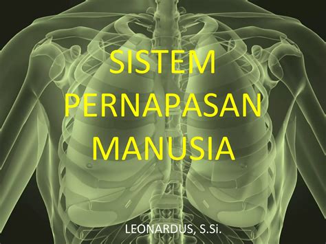 Sistem pernapasan-manusia (1) | PPT