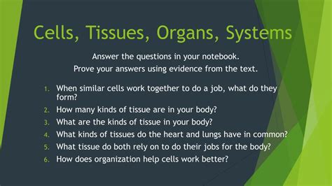 Ppt Plant Cells Tissues And Organs Powerpoint