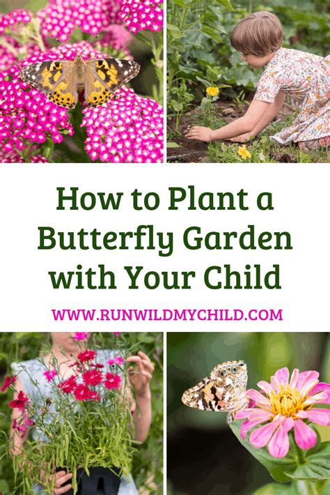 How To Plant A Butterfly Garden With Your Child Run Wild My Child