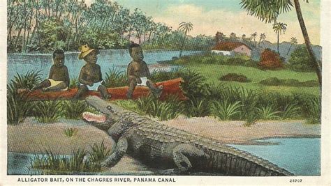 We did not find results for: The gut-wrenching history of black babies and alligators ...