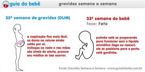 Quantos Meses Sao 35 Semanas