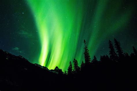 The Northern Lights In The Canadian Rockies Northern Lights Night