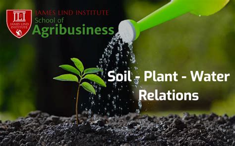 Principles Of Soil And Plant Water Relations Jli Blog