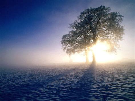 Wusa 9 Ea Andpop Cold Nature Hd Wallpaper Pxfuel