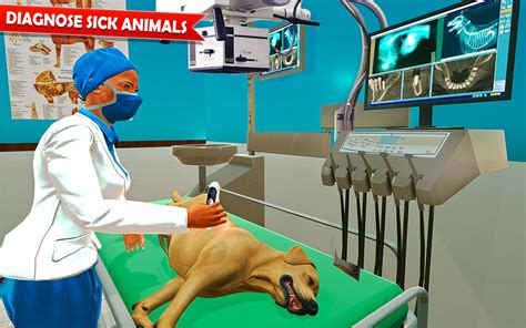Animal Hospital Pet Vet Clinic Do Pet Animal Rescue Pet Care At