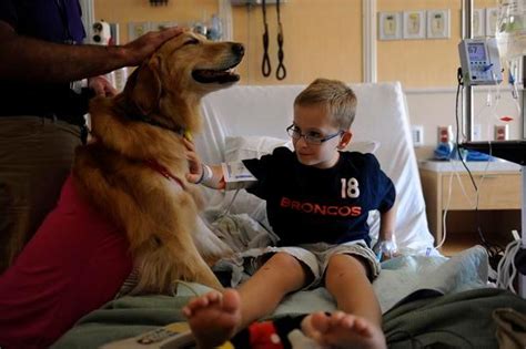 dogs deliver good medicine  kids  childrens hospital colorado
