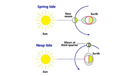 Types Of Tides And Their Difference Science Query