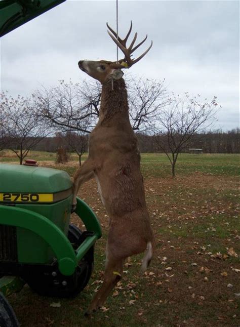Biggest Whitetail Deer Killed In Mississippi Designitdan