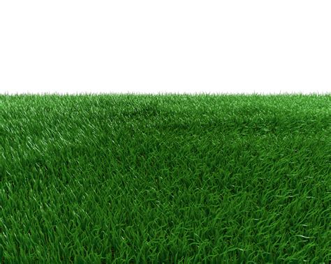 Grass Field Png Picturepng 1024×820