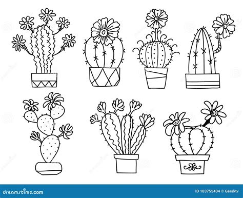 Cactuses Hand Drawn Outline Cactus With Flowers Stock Vector