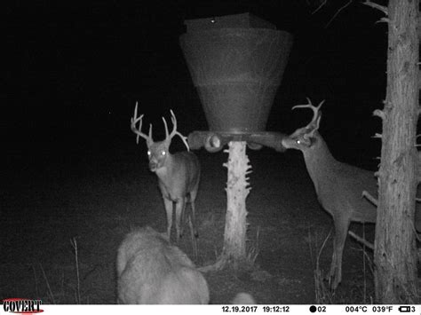 The earth signs feel a physical connection to the moon phases. How Moon Phases Affect Deer Movement