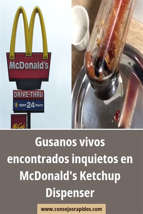 Gusanos Vivos Encontrados Inquietos En Mcdonalds Ketchup Dispenser