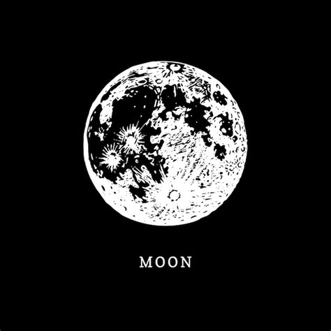 Image De La Lune Sur Fond Noir Illustration Vectorielle Dessinée à La
