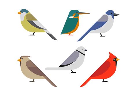 Bird Clipart Set Vector Illustration 280271 Vector Art At Vecteezy