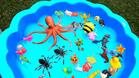 Sea Animal Toys for Kids - Learn Wild Animals Names - Sea Animals