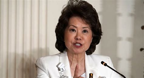 9 things to know about elaine chao. 'Leave my husband alone': Elaine Chao clashes with ...