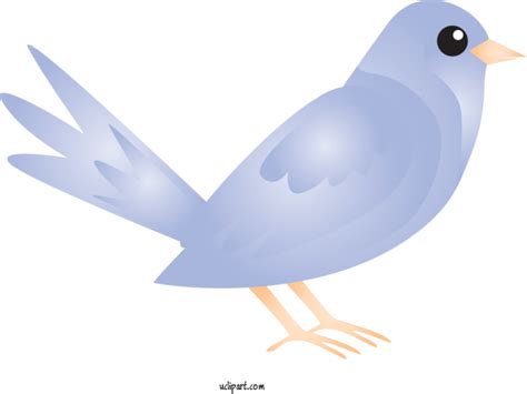 Rock Dove Png Pic Background Png Play