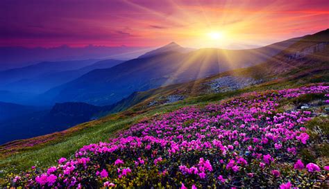 Mountain Landscape Stock Photo Download Image Now Sunrise Dawn