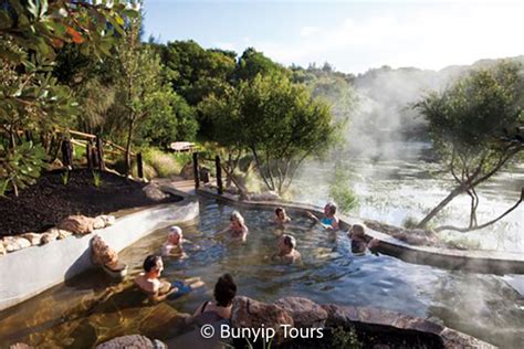 Bunyip Tours・モーニントン半島のペニンシュラ温泉へ行こう メルボルン発 オーストラリアンツアースペシャリスト Ats