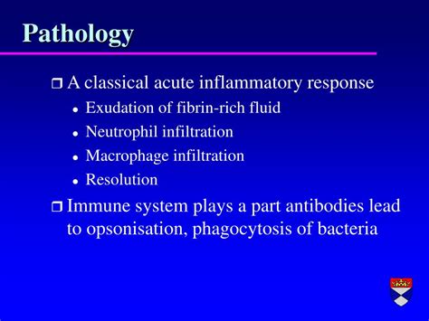 Ppt Pathology Of Pulmonary Infections Powerpoint Presentation Free