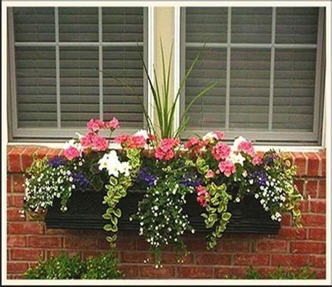 32 Beautiful Ideas Cascading Flowers For Window Boxes In 2020 With