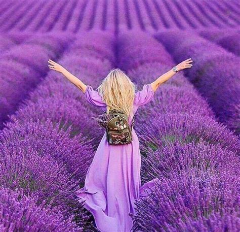 Pin By Candice May Martin On Purple Morado Lavender Fields Names
