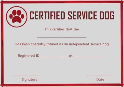 Service Dog Certificate Template 7 Templates Example Templates
