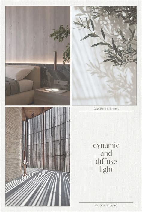 Biophilic Moodboards Leveraging The Power Of Light In Interiors · Anooi