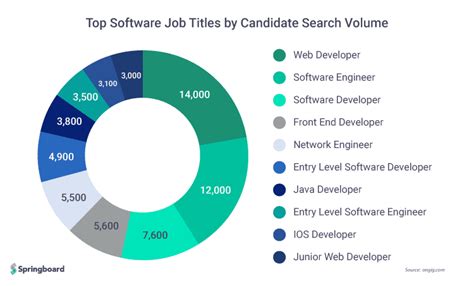 What Does A Software Engineer Do