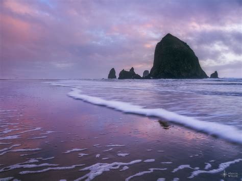 Cannon Beach Where To Willie