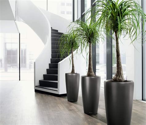 This has turned into an art form that has helped the trees to grow in popularity as well as into an exotic look for the household. Creative Interior Plant Design Ideas | Interior Gardens