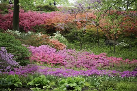 See more of new york botanical garden on facebook. New York Botanical Garden in Bronx, NY - ESCAPE BROOKLYN