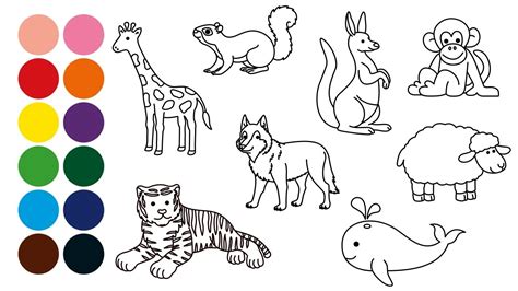 Animales Mamiferos 1 Dibujar Y Colorear Para Niños Dibujar Animales